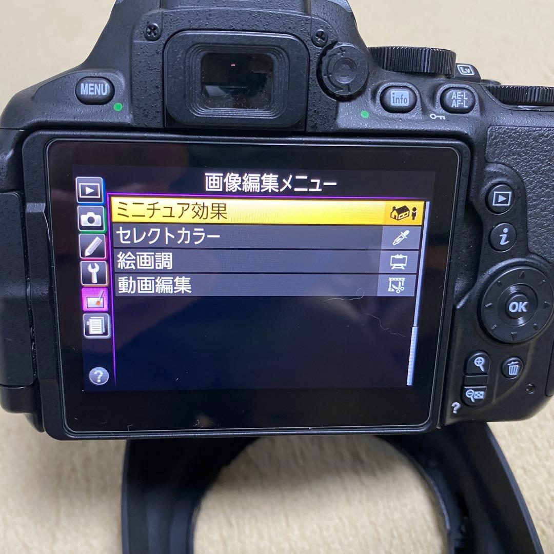 【美品】 Nikon D5600+AF-S 16-80mm f2.8-4 VR