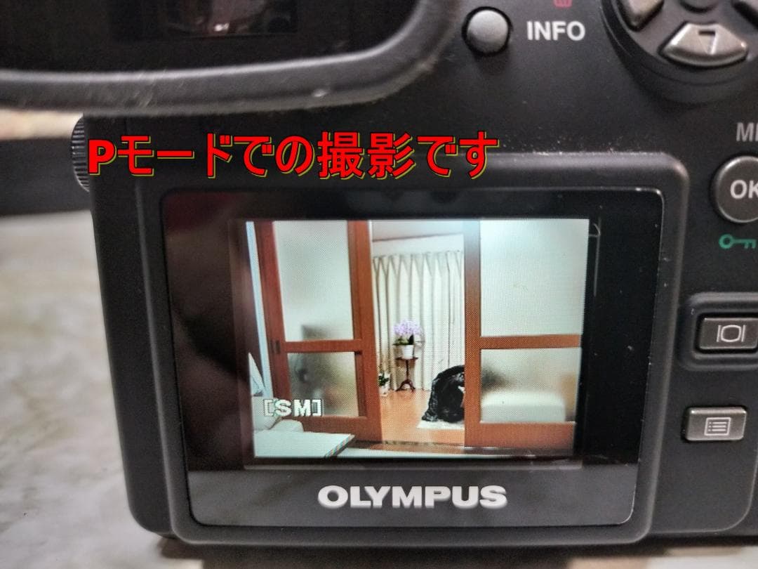 【希少/動作品】伝説の「瞬間の魔術師」OLYMPUS E-100RS フルセット
