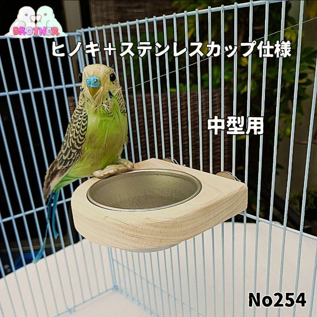 まりも様確認ページ