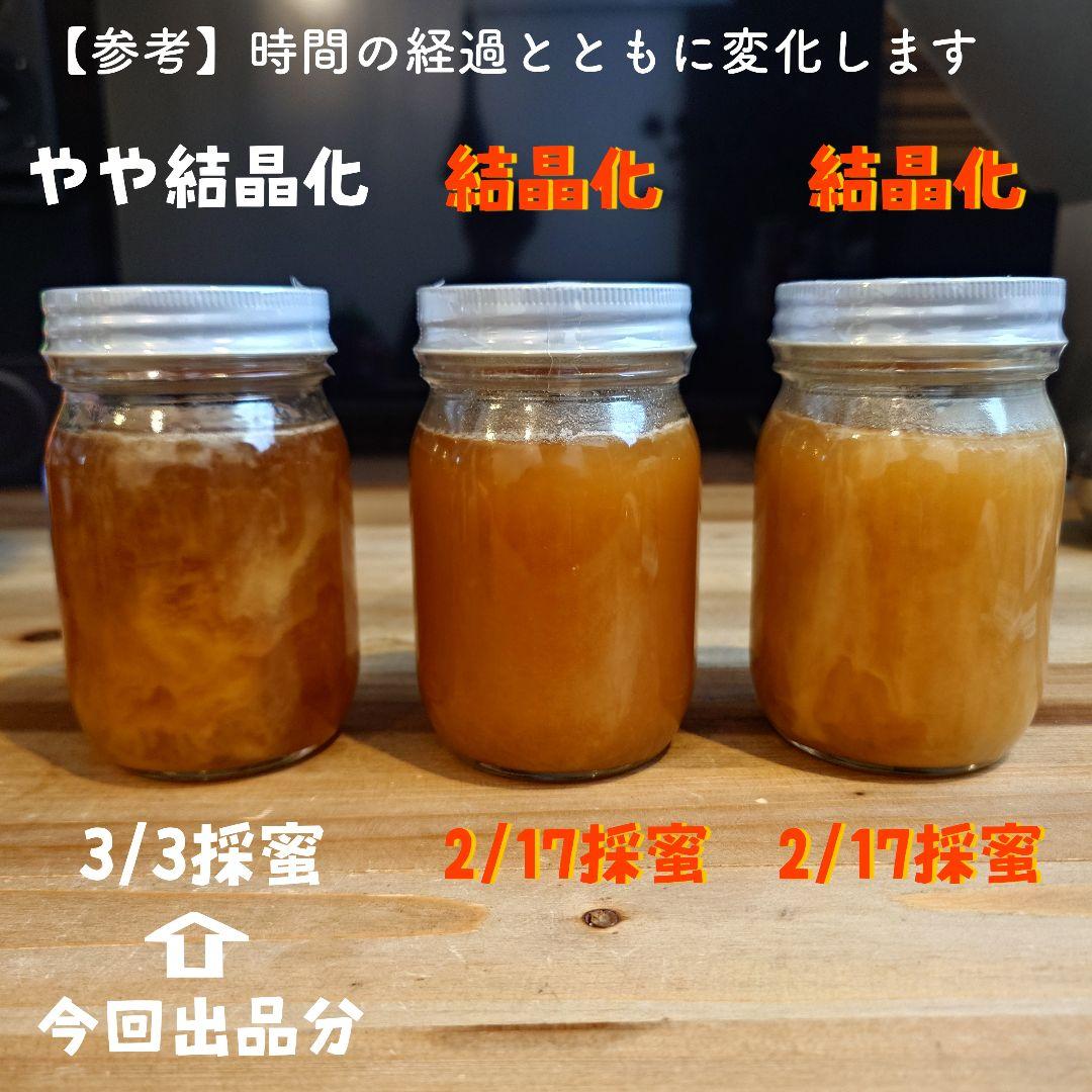 日本蜜蜂のはちみつ　純粋　ハチミツ　蜂蜜　百花蜜　ニホンミツバチ　国産　非加熱