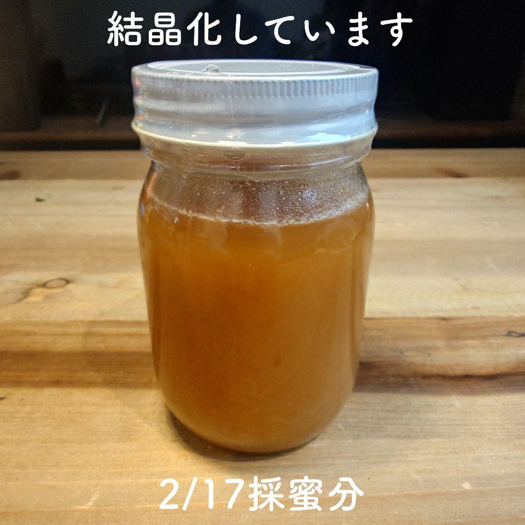 日本蜜蜂のはちみつ　純粋　ハチミツ　蜂蜜　百花蜜　ニホンミツバチ　国産　非加熱