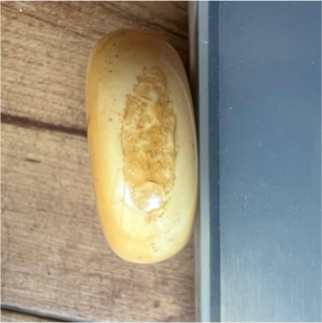 根付 セイウチ彫刻