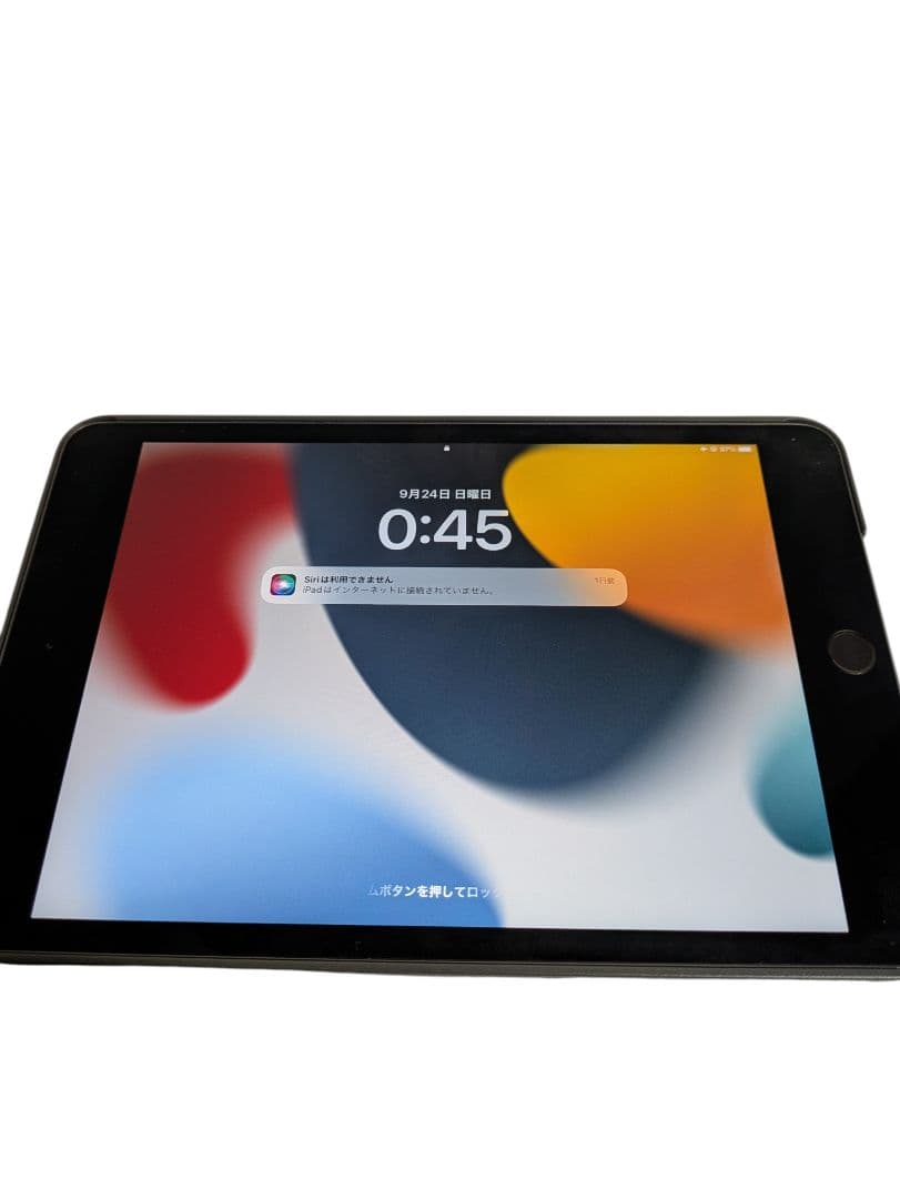 ジャンク iPad mini 第5世代 A2133容量不明パスコード不明本体のみ