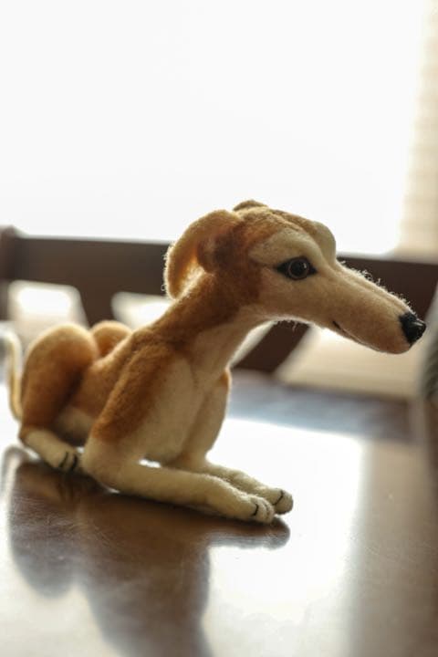 羊毛フェルト　ウィペット