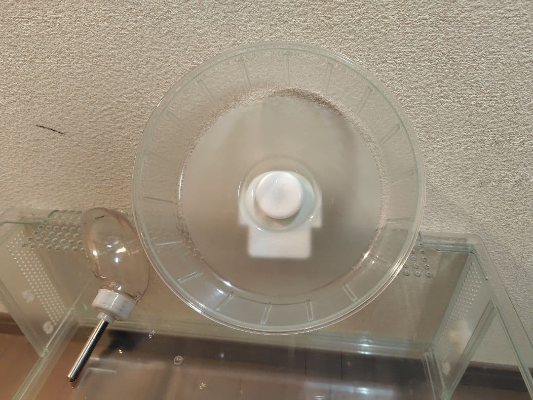 グラスハーモニー600プラス　やや傷あり