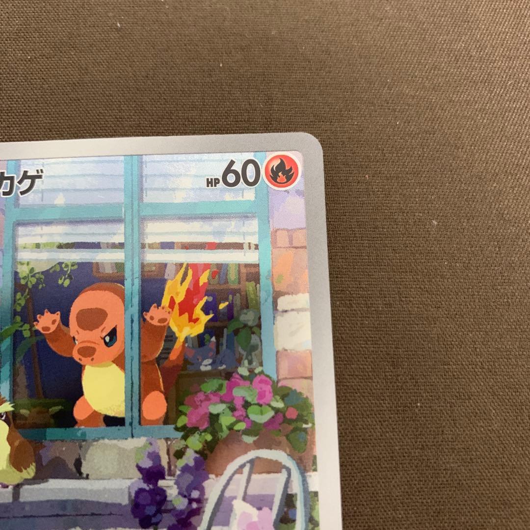 スペシャルデッキセット　ヒトカゲ ポケモンカード 051/049