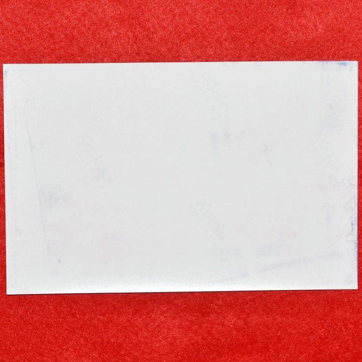 『二重誘拐』小道具 アイリーン・ヘイズの監視写真