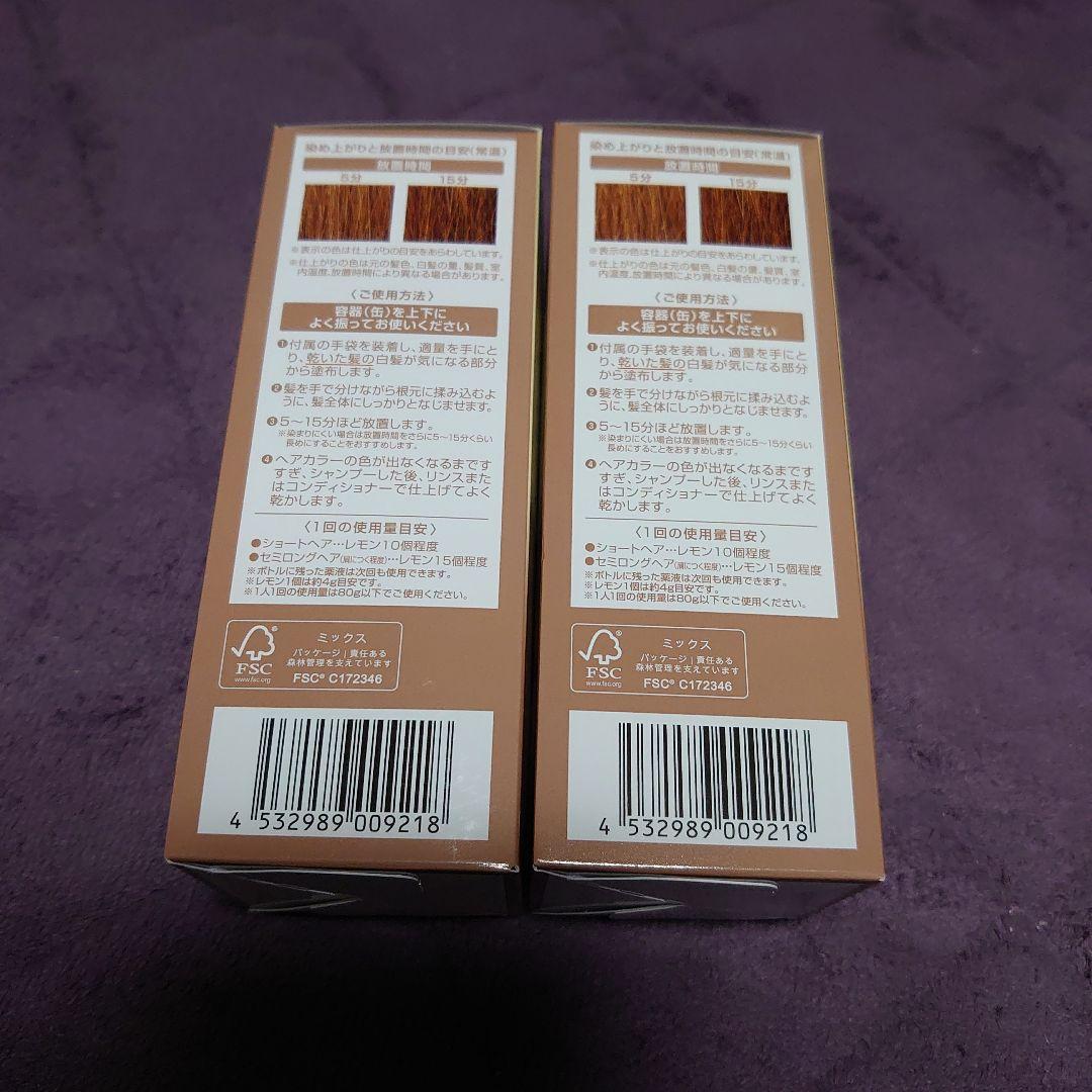 ÉCLAT ボタニカルアローフォーム 2個セット ライトブラウン