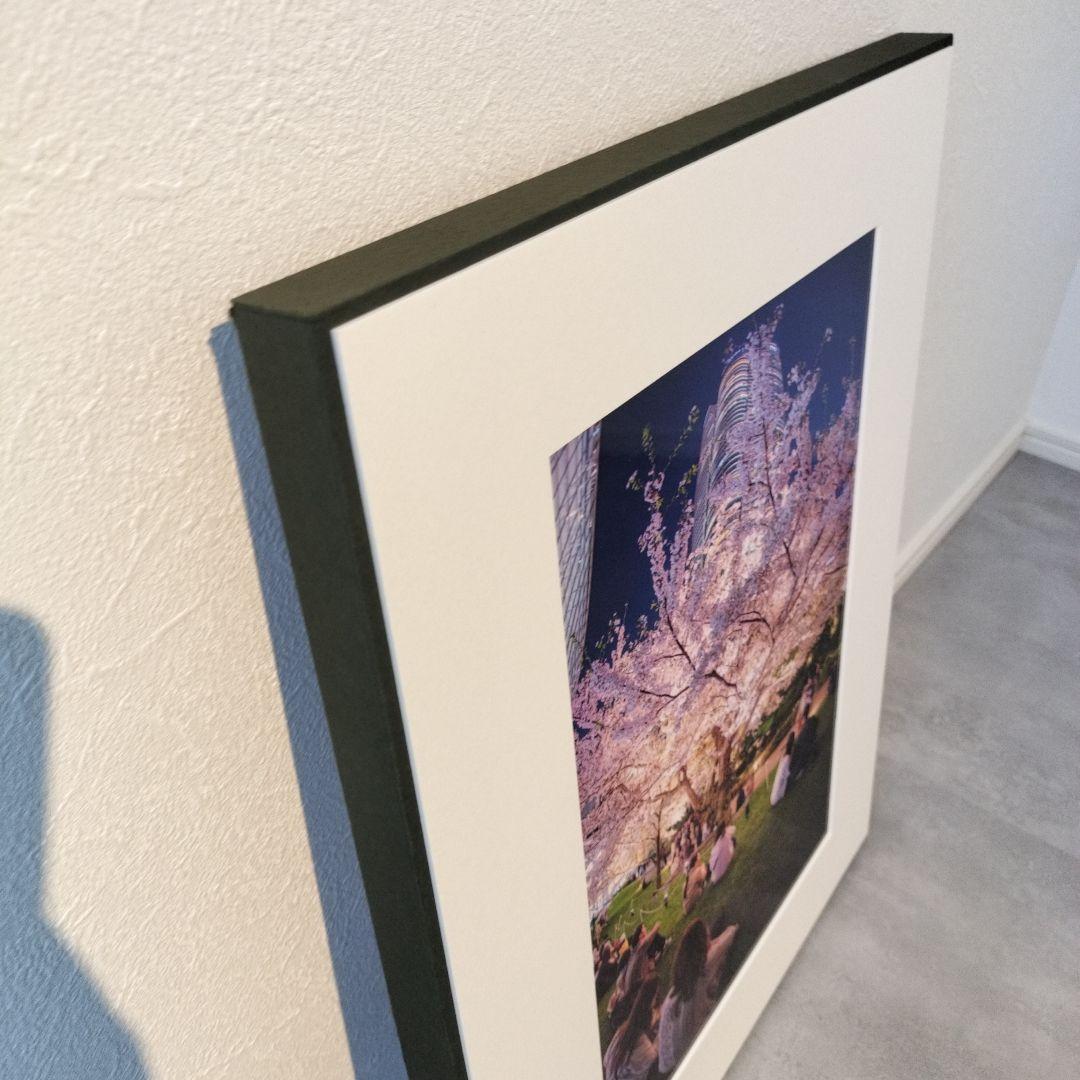 夜桜 写真作品 額装 アートパネル 春 都会 夜景 インテリア