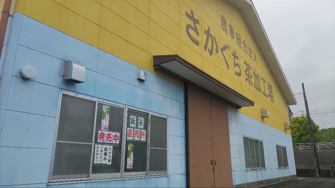 南の島 静岡県牧之原市産煎茶 特撰やぶ北 100g×14、荒茶風4