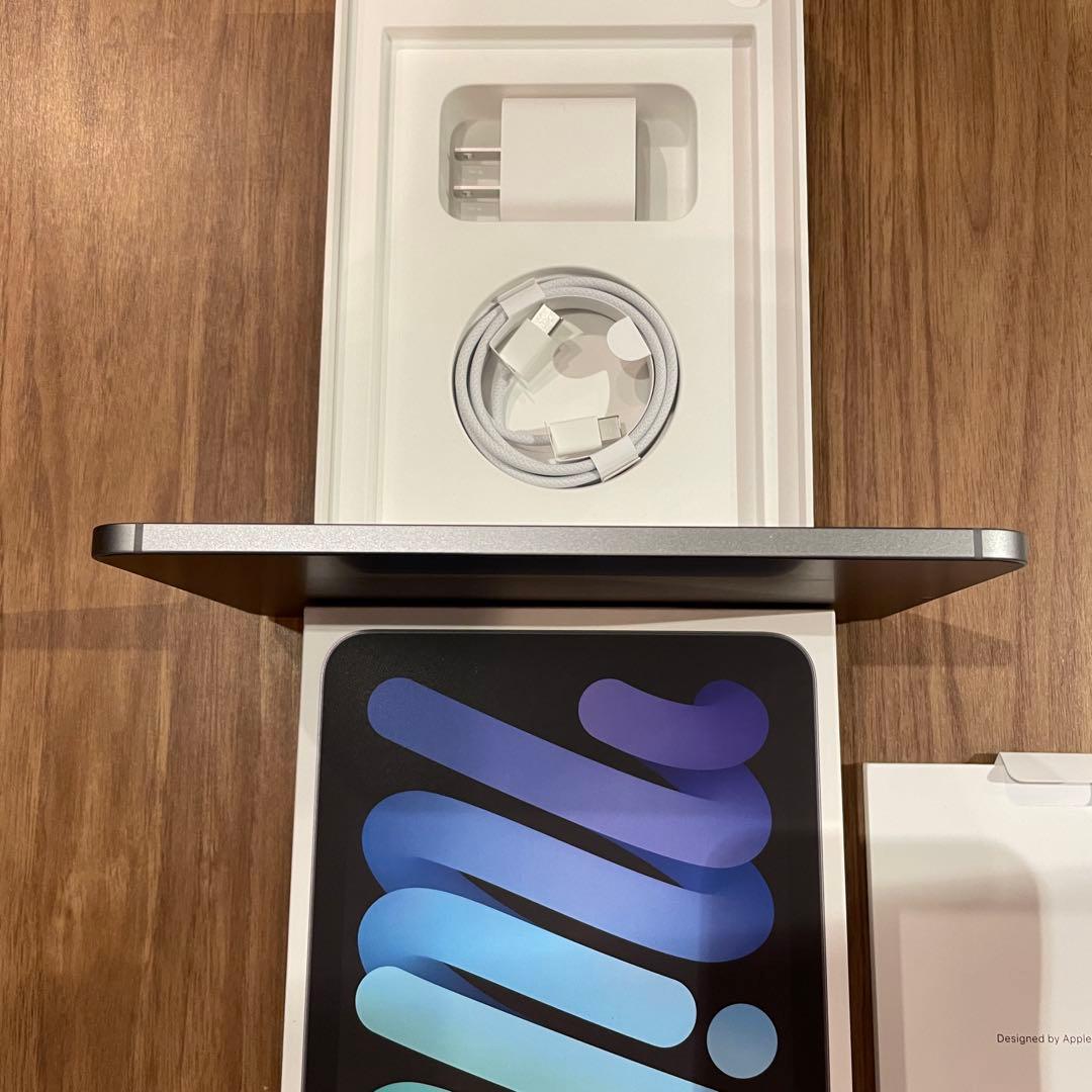 超美品 iPad mini 7 256GB WiFi セルラー 高級フィルム貼済