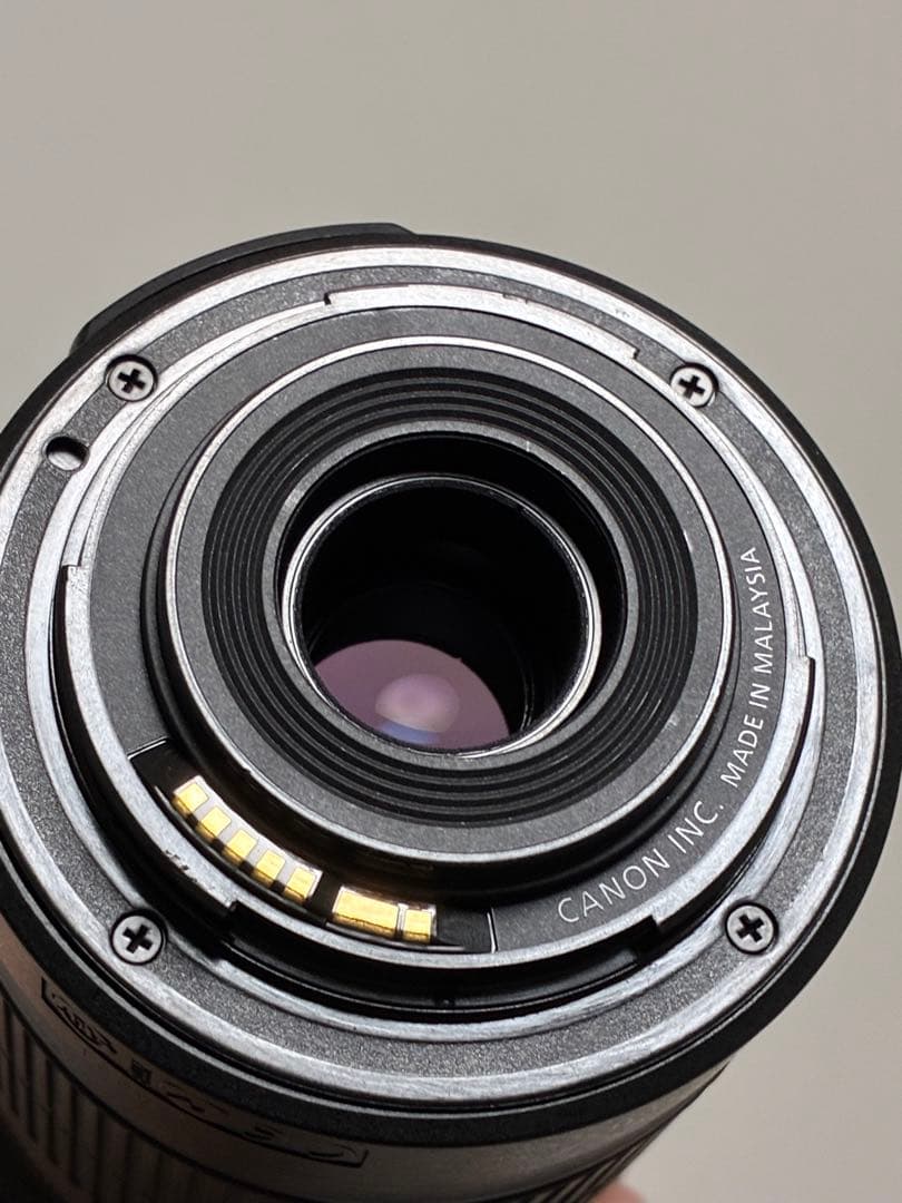 ⭐️極美品⭐️Canon EF-S 55-250mm IS II フード付望遠レンズ