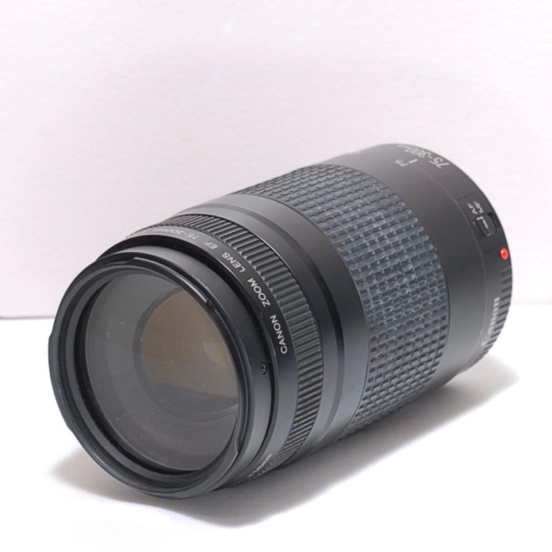 新品級✨超望遠レンズセット✨キャノン EOS 7D✨ 中級モデル✨高速連写機能