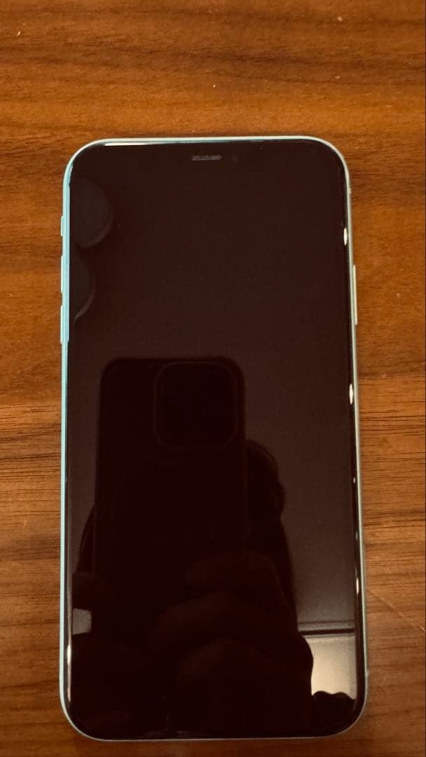 Apple iPhone 11 64GB グリーン（本体・付属品一式）