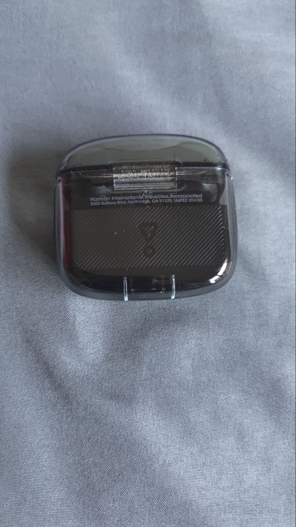JBL TUNE FLEX GHOST(美品)