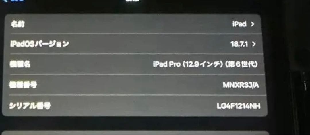 【美品】iPad Pro 12.9 第6世代 256GB WiFi