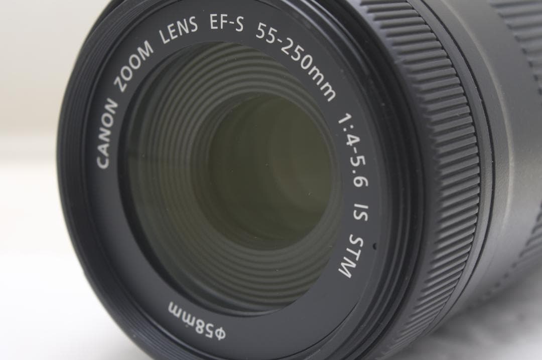 キヤノン EF-S 55-250mm F4-5.6 IS STM 5161