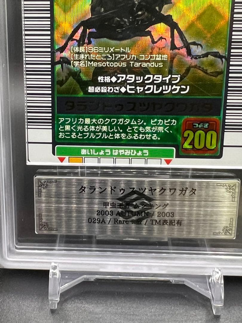 ムシキング　2003 秋　タランドゥスツヤクワガタ　ARS鑑定品　grade9