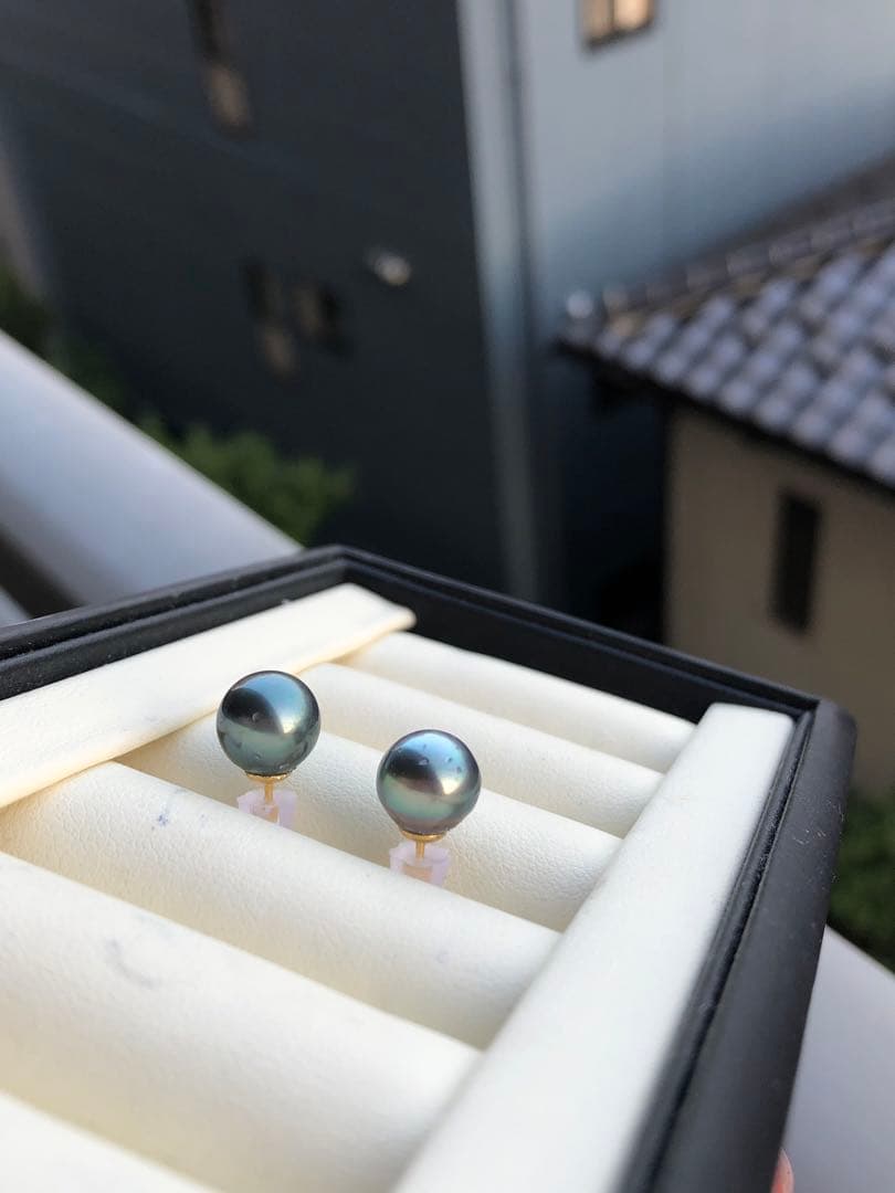 黒蝶真珠　ピアス　タヒチ産パールSA13