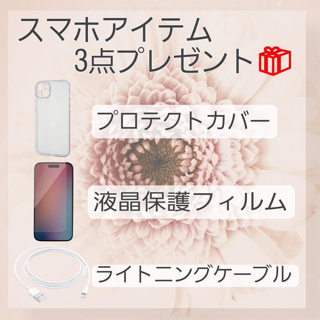 iPhone 13 Pro 256GB SIMフリー バッテリー新品100%