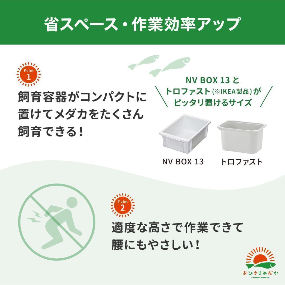 ★メダカ飼育ラック　黒1段6個置き★ めだか飼育棚 NVBOX ビオトープy