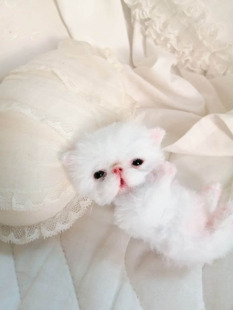 ほにゃん～♡生後20日♡ちびちび子猫ちゃん♡アートドール♡ぬいぐるみ♡