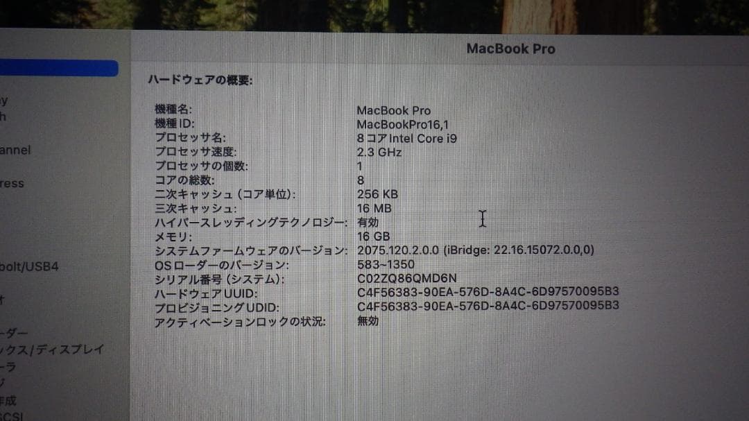MacBook本体 Apple MacBook Pro 16inch 2019 i9 M16G 1T