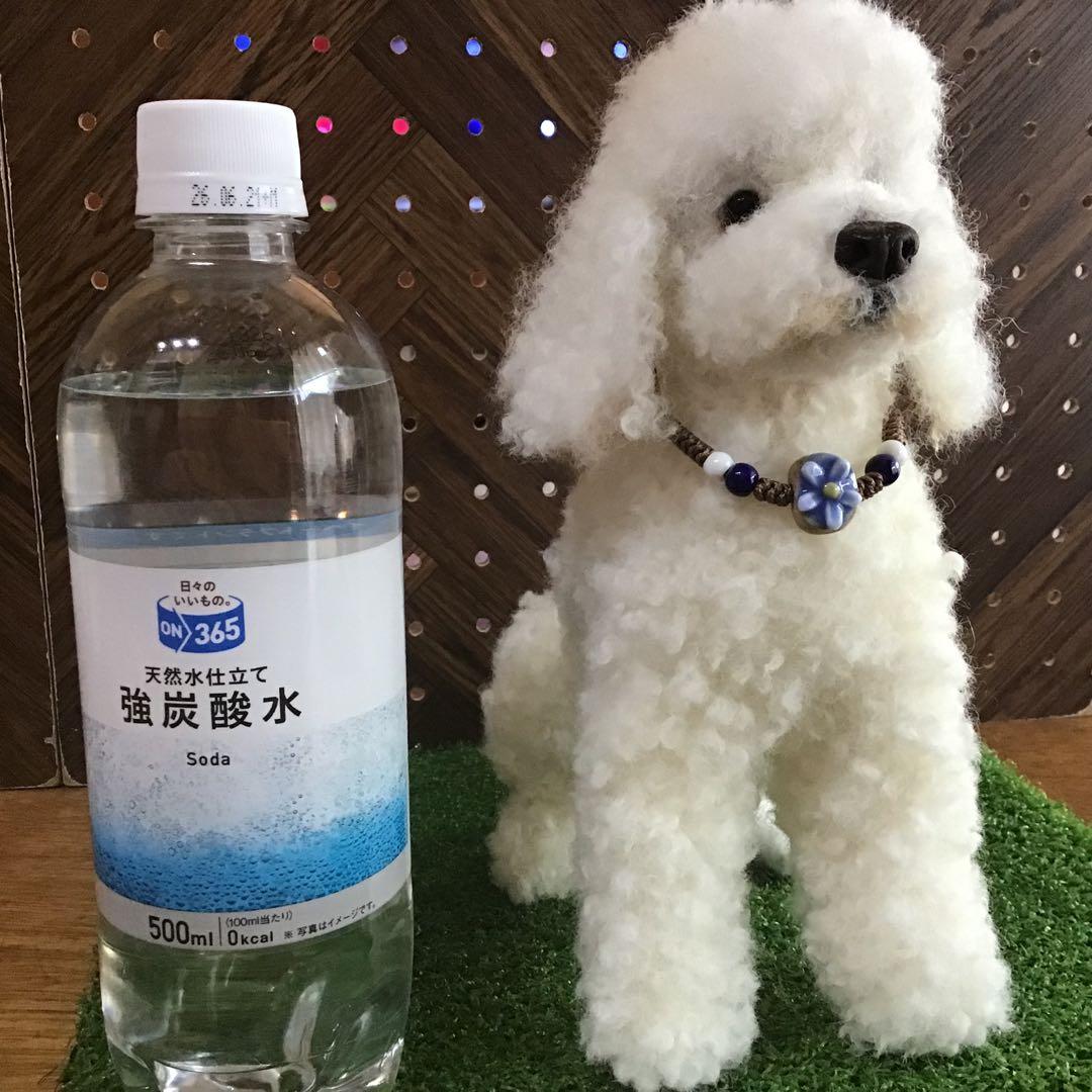 大きなスタンダードプードル（お座りポーズ）