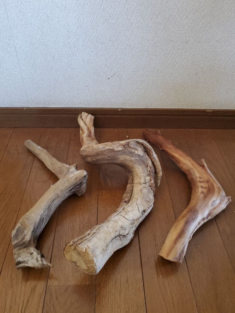 源流木　セット　571