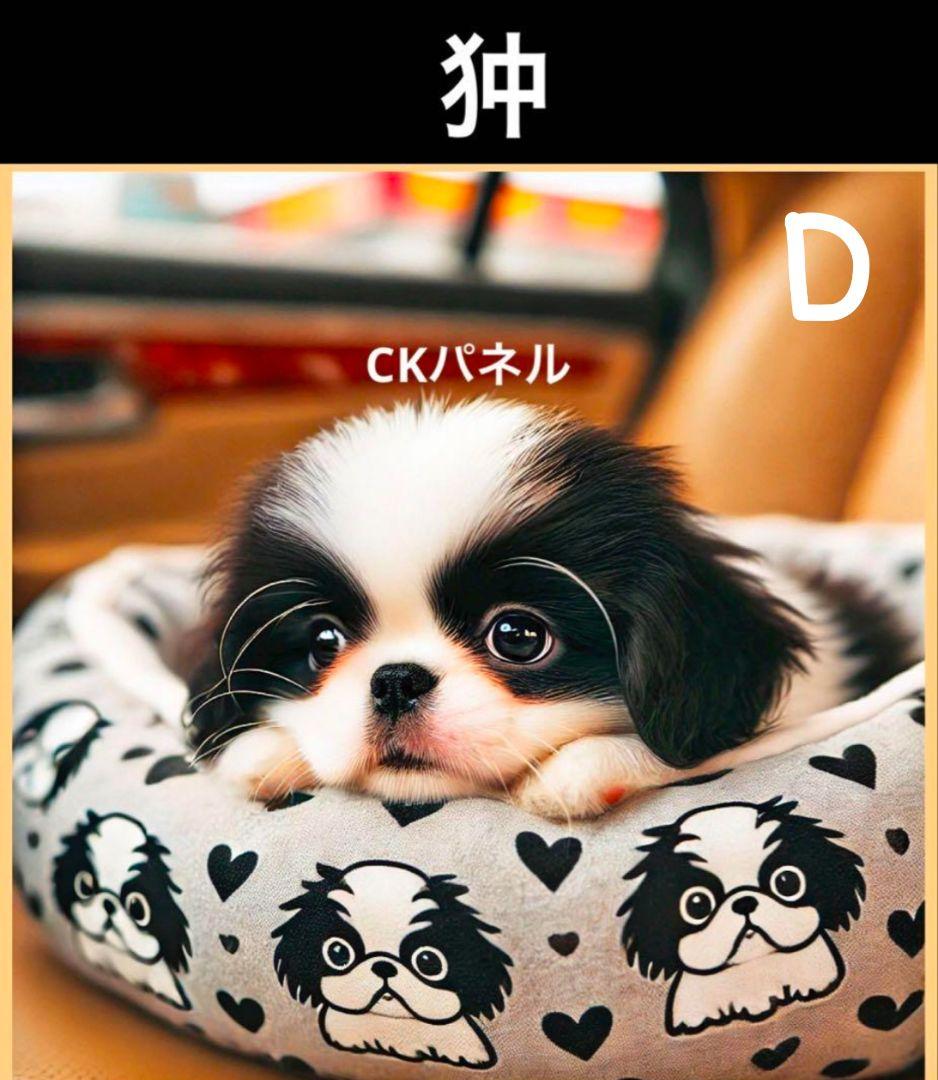 オーダー受付　お出かけわんこ　6犬種　ご予約ページ　1/20