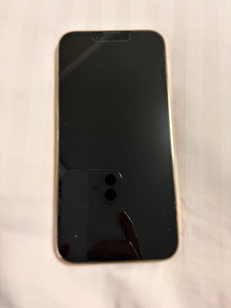 Apple iPhone 13 Pro シルバー 本体　256GB