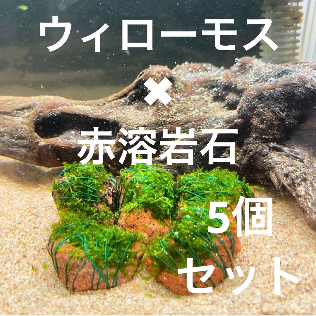 【 popopopopo85poさん専用】