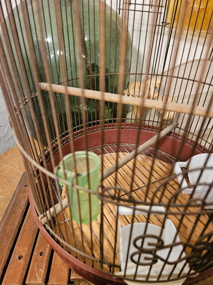 鳥かご　かご　アイアン　昭和レトロ　ヴィンテージ　ゲージ　アンティーク