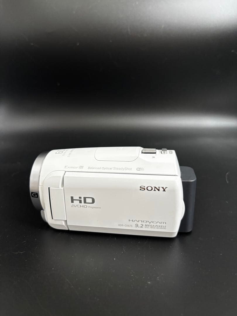 ビデオカメラ SONY Handycam HDR-CX675