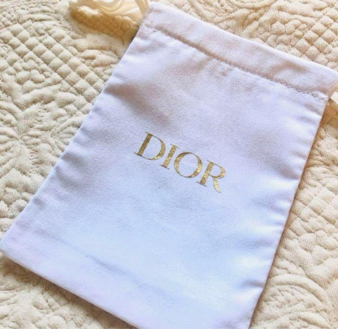 Dior　ディオール アディクト　リップケース　クリスマス　チュイルリー