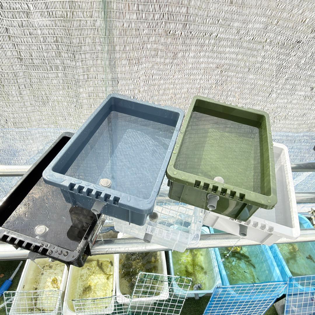 メダカ容器 NV13 オーバーフロー 5個 Wパッキン 雨対策 高耐久