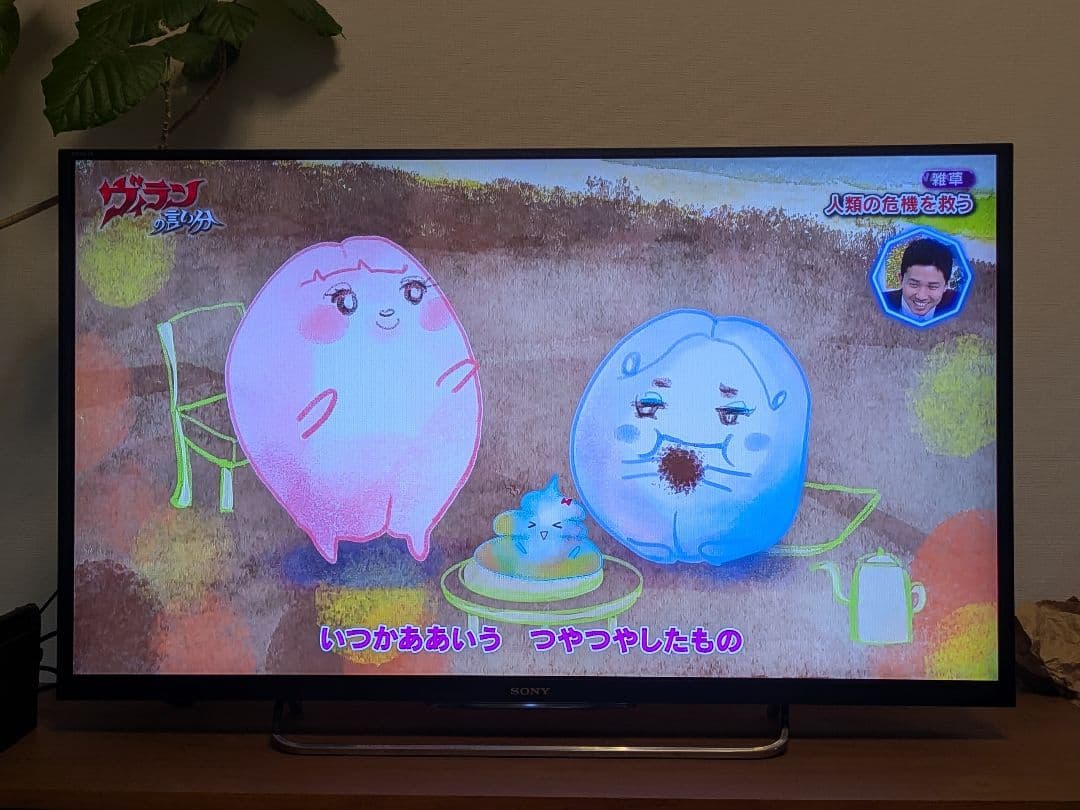 SONY BRAVIAテレビ　2014年製 KDL-42W900B　 42インチ