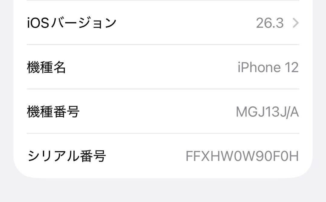 Apple iPhone 12 本体　大容量256GB 美品