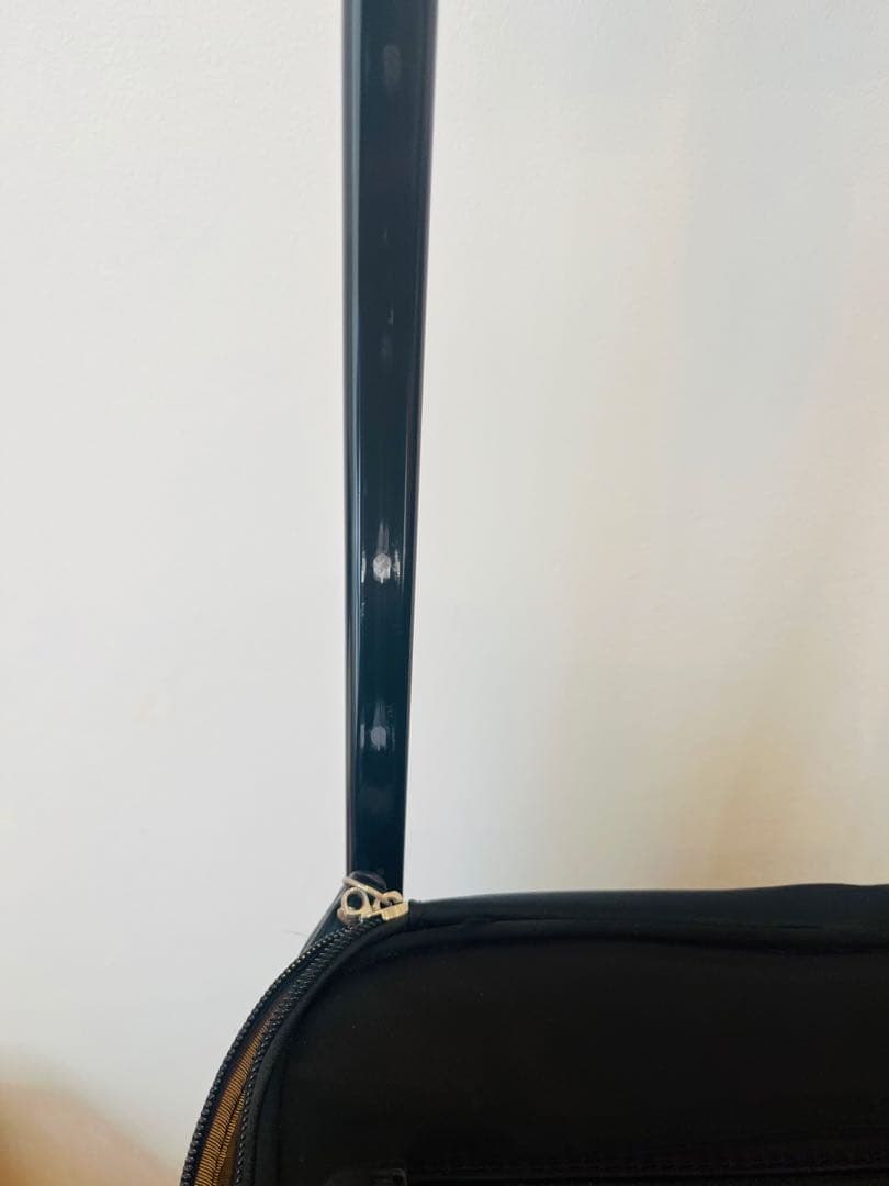 スワニー　黒ナイロンキャリーカート