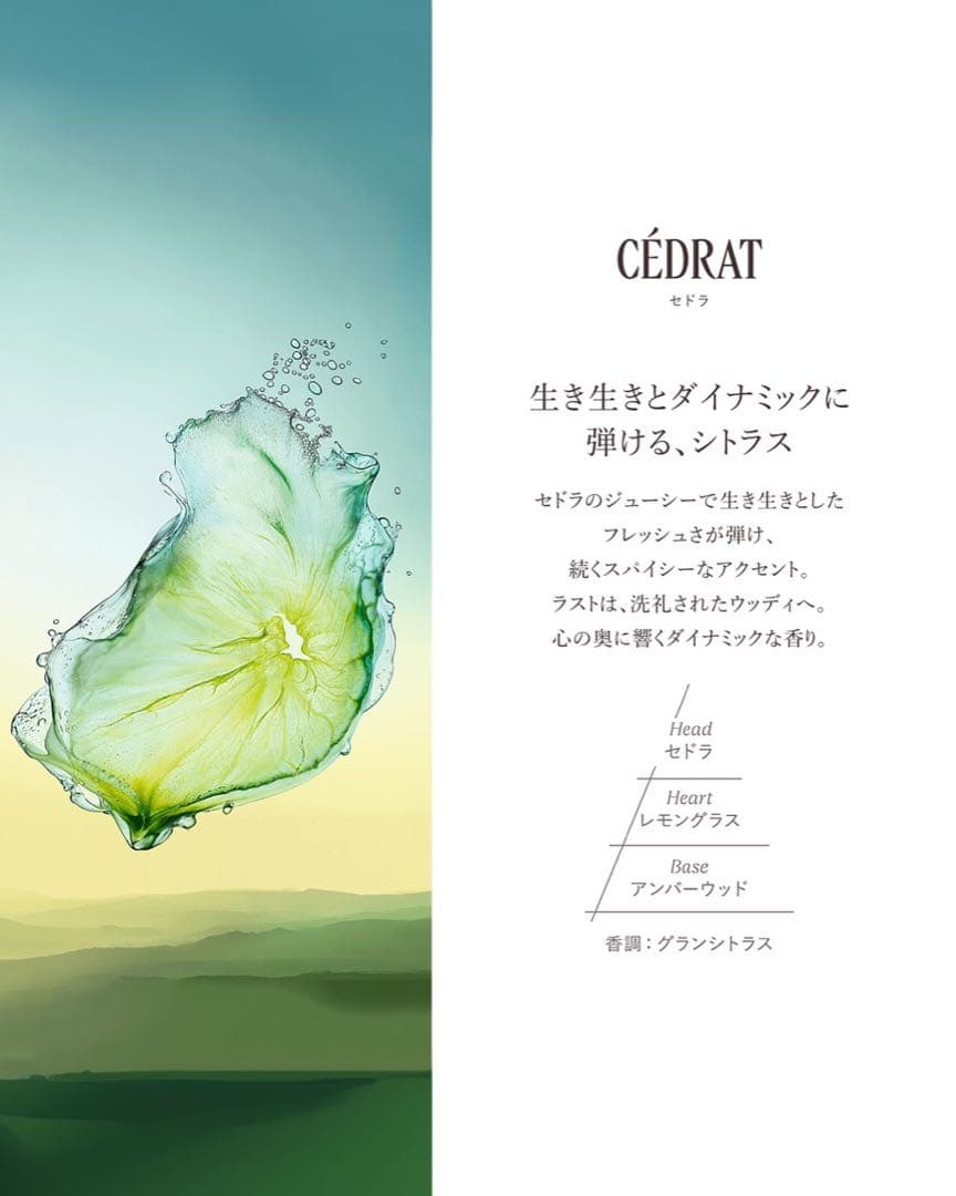 ロクシタン セドラ オードトワレ 50ml L'OCCITANE 香水