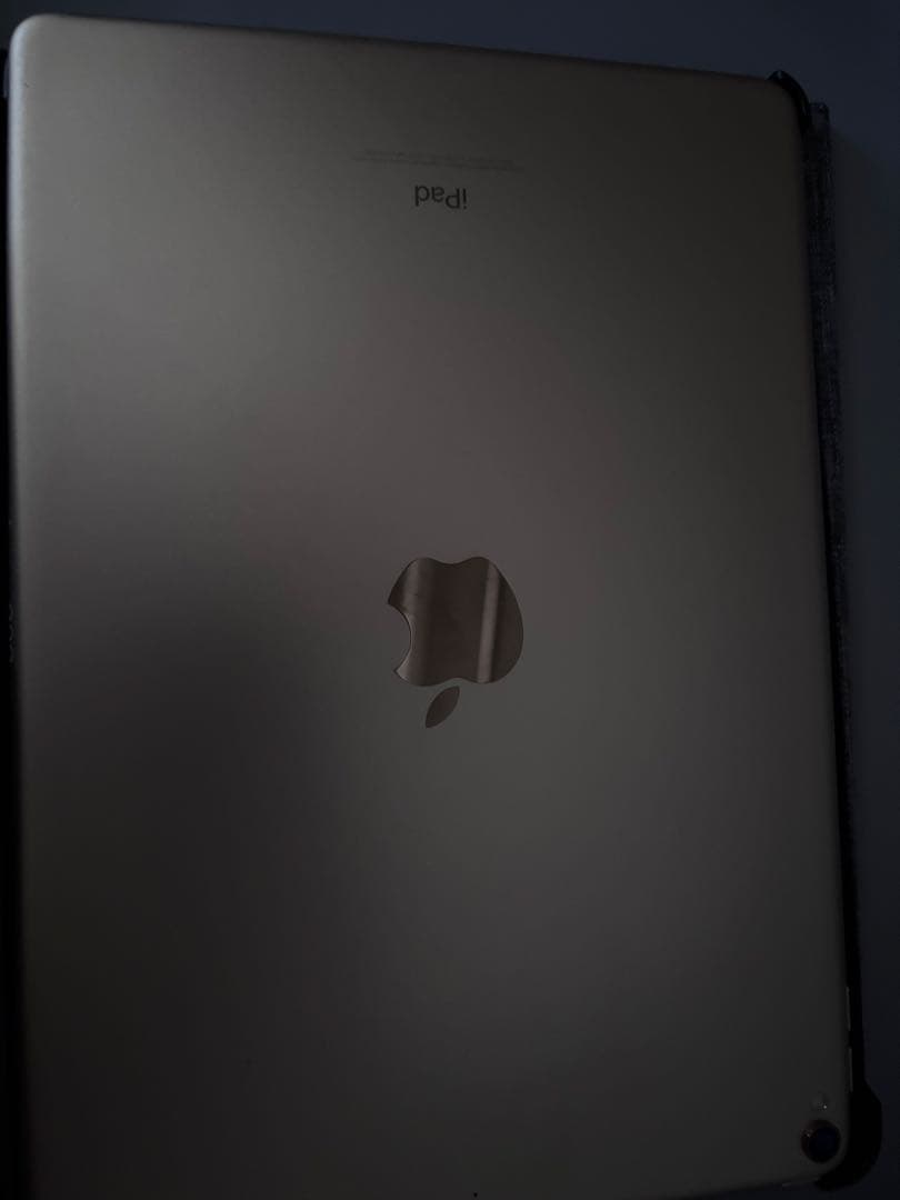 1月20日まで！ Ipad pro 10.5インチ 120fps対応モデル