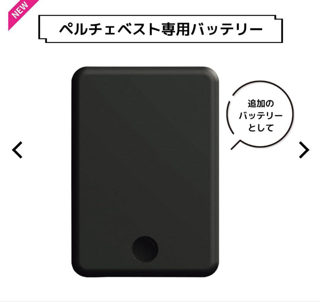 【新品】ワークマン ペルチェバッテリーセット