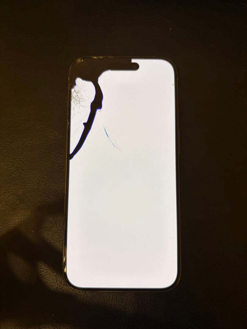 iPhone 15Pro ジャンク