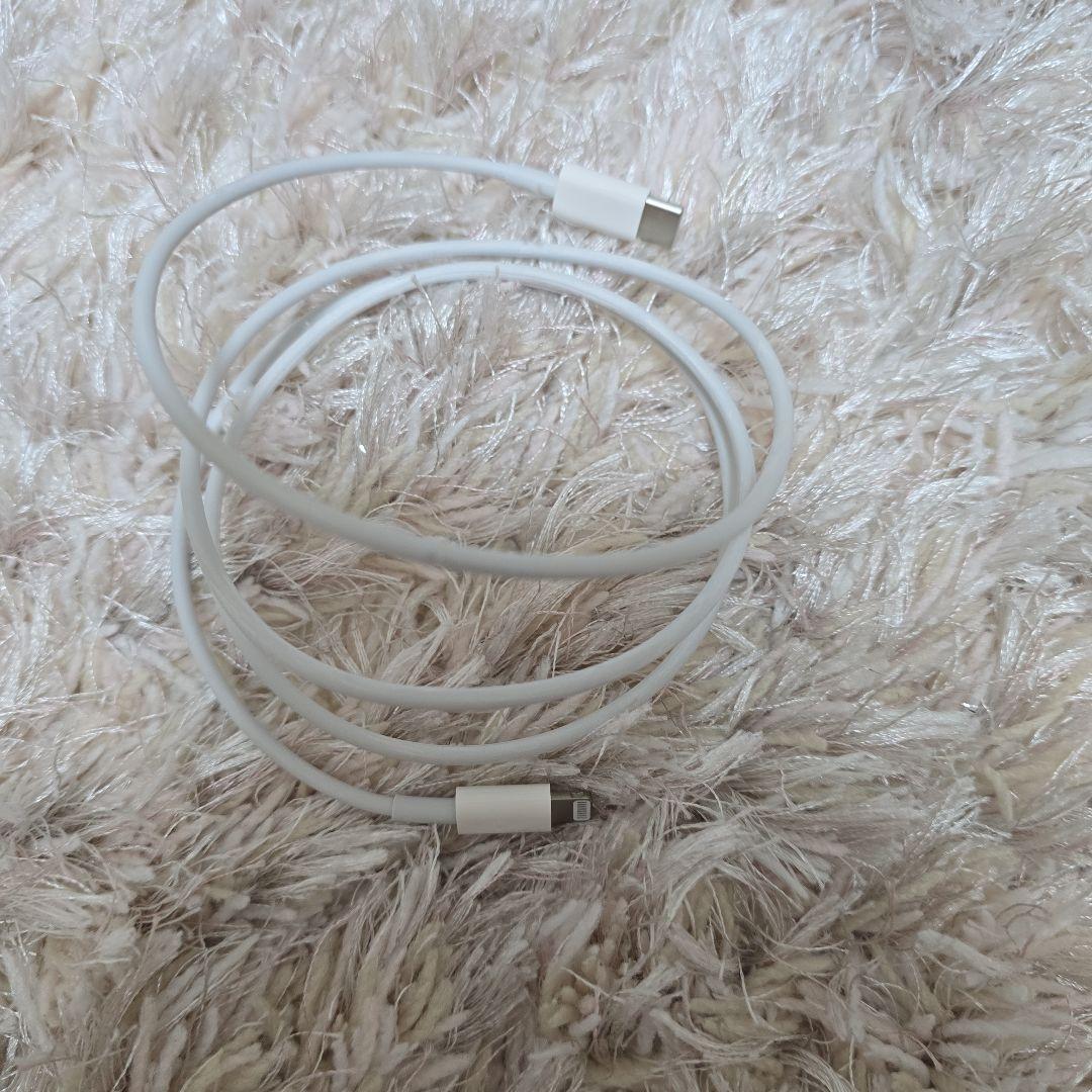 AirPods　Pro エアーポッズプロ　第一世代
