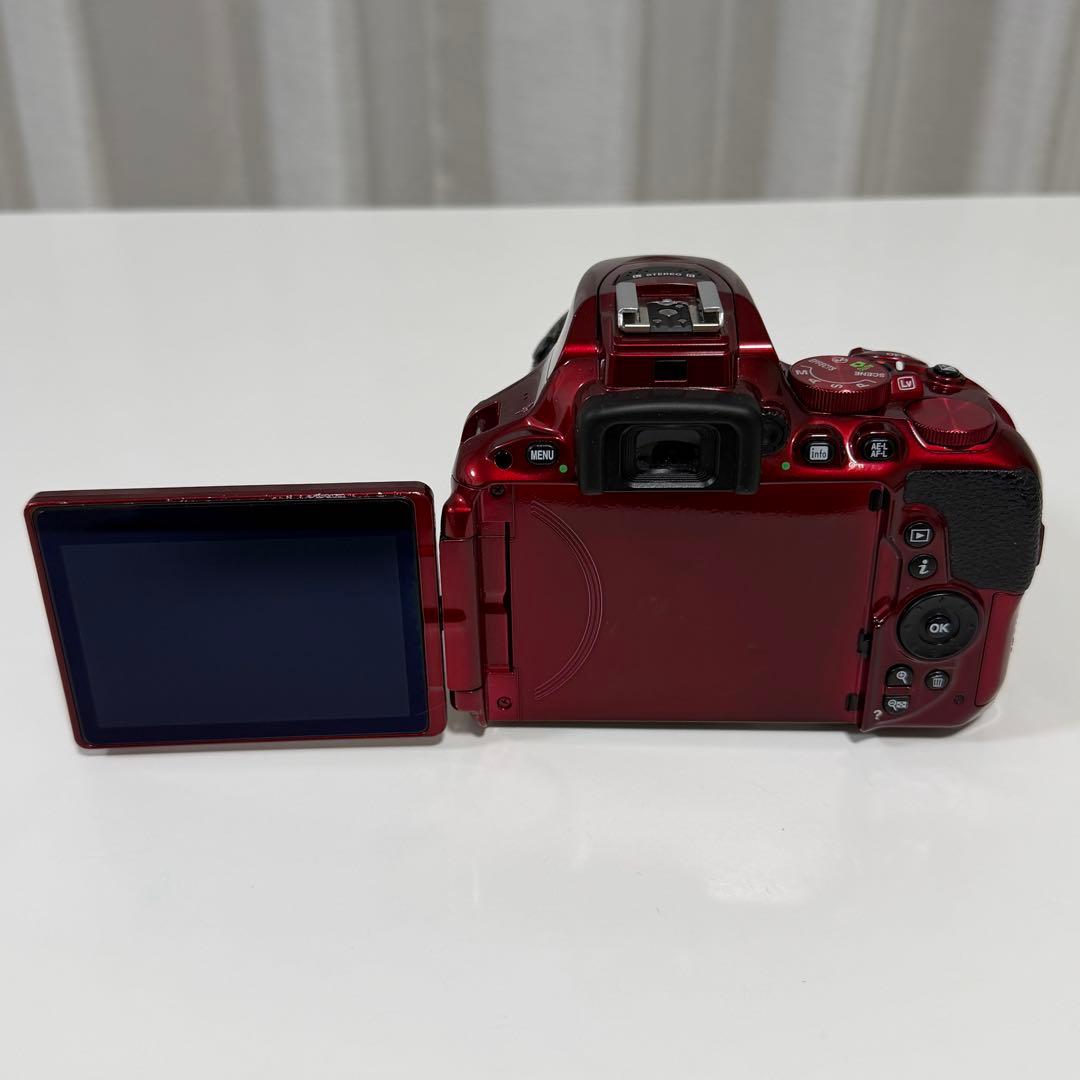 【バッテリー無し】Nikon D5500 ダブルズームキット