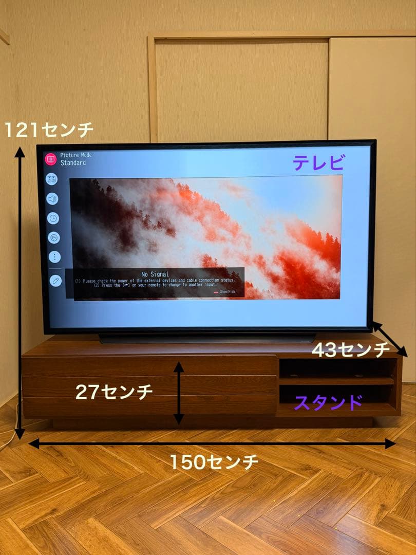 LG 65型 4K有機ELテレビ & テレビ台セット【おまけ付き！】