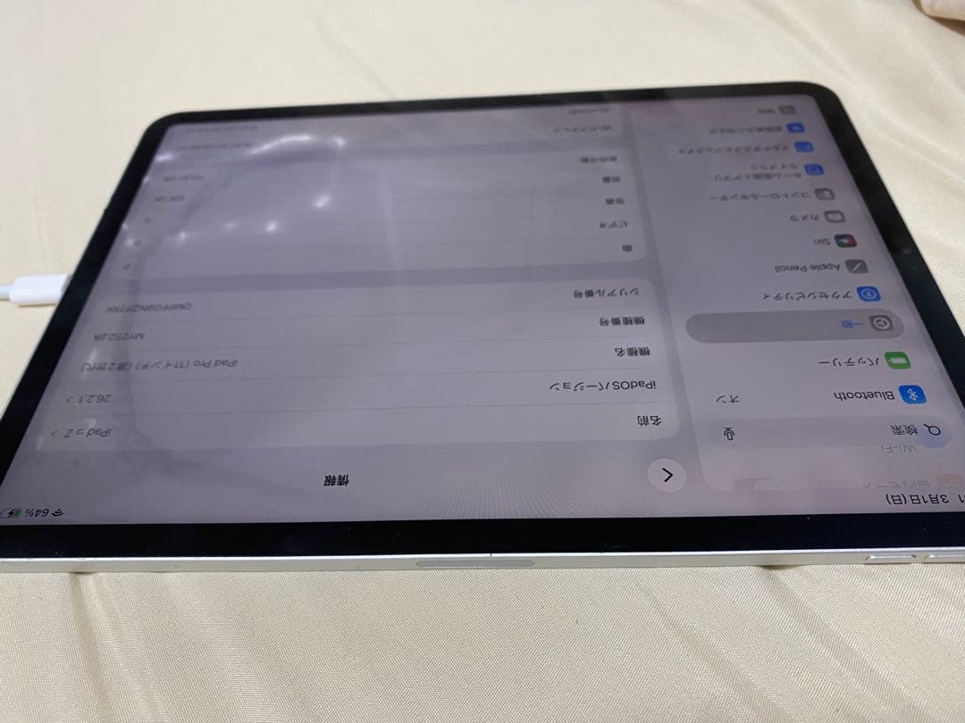 iPad Pro 11インチ 第2世代 ■ジャンク品と