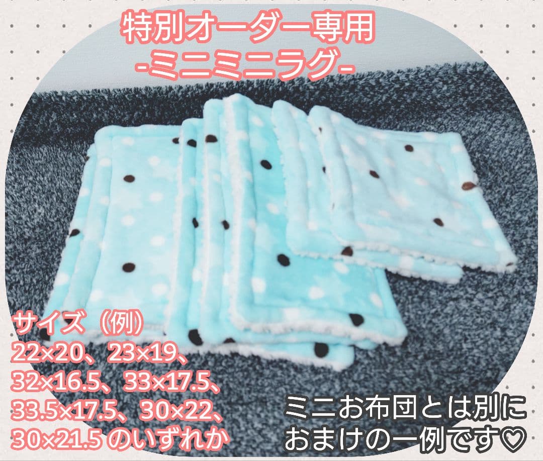 【年末年始特別オーダー専用ページ】フクロモモンガ