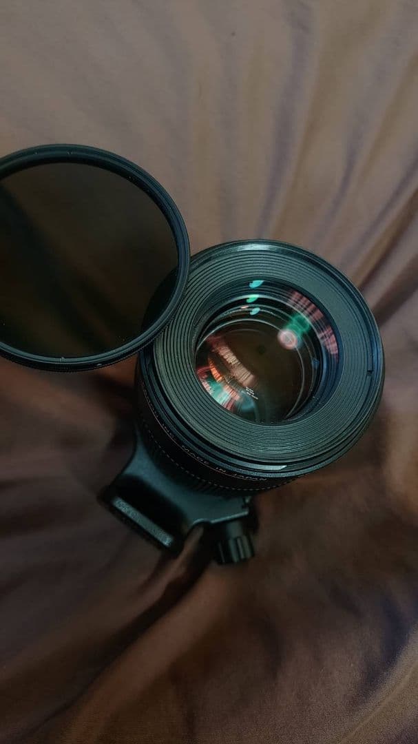 ホリCanon EF 100mm f/2.8L マクロレンズ
