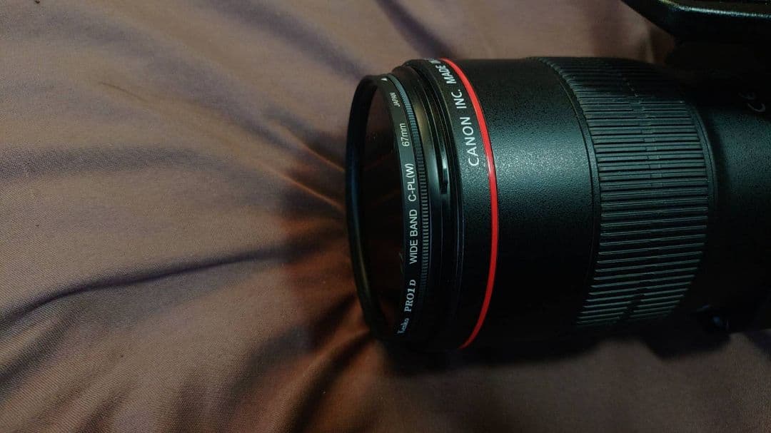 ホリCanon EF 100mm f/2.8L マクロレンズ